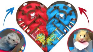 ?Два милых Хомячка ? В лабиринте в форме сердца? - Гонка хомяков❗