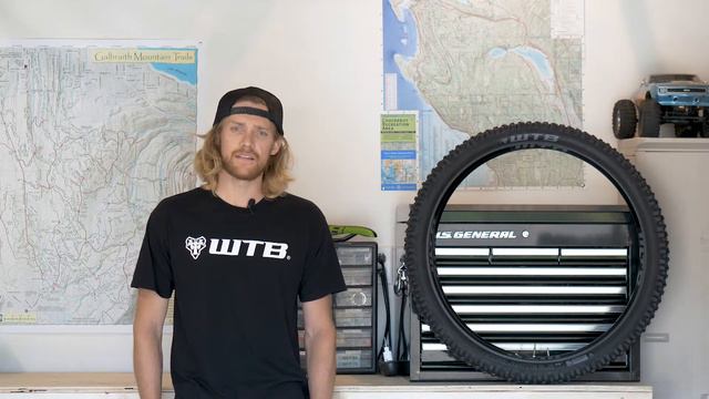 What are the differences between WTB tubeless tire casings? смотреть онлайн
