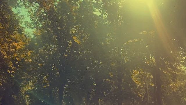 БЕСПОКОЙСЯ О МЕЛОЧАХ смотреть онлайн