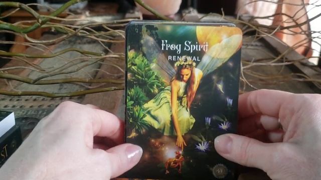 The Sacred Forest Oracle Deck By Denise Linn Overview And Unboxing #oracle #unboxing #tarot #spirit смотреть онлайн
