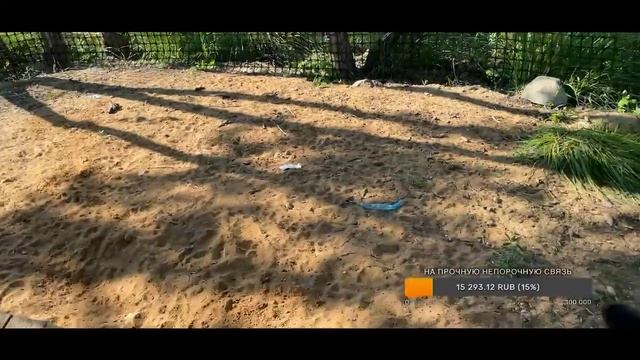 Обед с волками смотреть онлайн