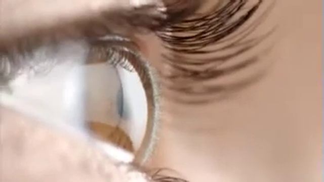CIBA contact lenses смотреть онлайн