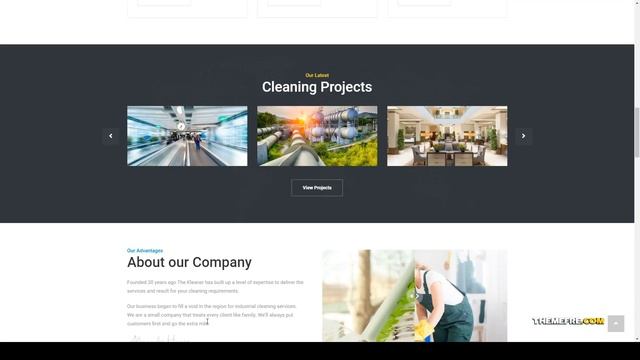The Kleaner - Industrial Cleaning Company WordPress Theme renovation facility services Mizuno смотреть онлайн