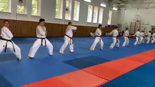 КАТА на сборах , киокушин смотреть онлайн
