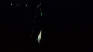 Рыбалка в ливадии 4й пляж. Что ловится? Сколько поймали? #блогВладивосток