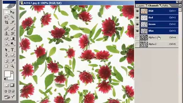Photoshop Dersleri   Kanal Paletini Kullanmak
