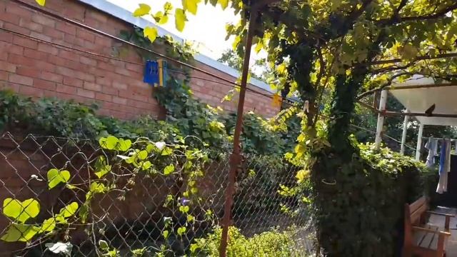 Ейск?Прогулки по городу. Пляж "Каменка" завершил свой сезон)) смотреть онлайн