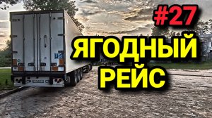 ЯГОДНЫЙ РЕЙС. ЗАЕХАЛ ЗА СЕТКУ НА КРАСНОЙ ГОРКЕ. БЕЛАРУС ДАЛЬНОБОЙ #27