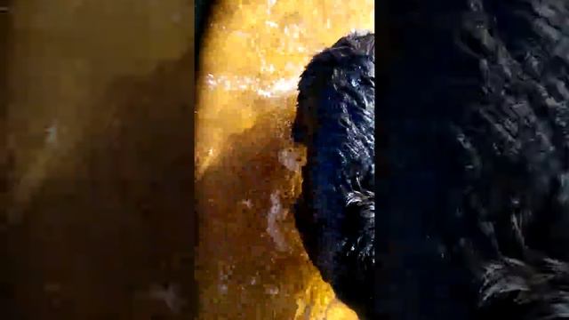 Ладожское озеро смотреть онлайн
