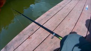 Рыбалка на карпа: Обеденная ловля карпа на поплавок, Клёвое место, Лосиный остров