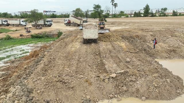 Smooth Dump Truck Management Big Pond Land Filling Up Skills Bulldozer Operator Pushing Dirt смотреть онлайн
