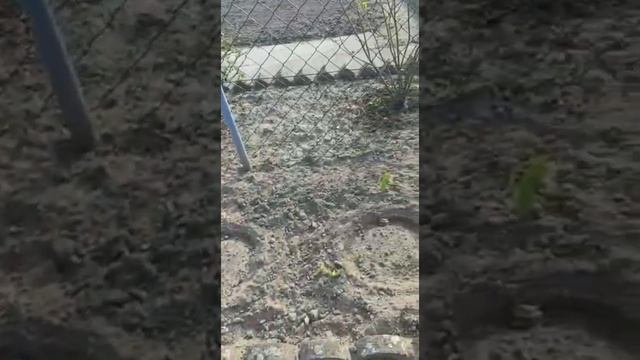 Дачи в Германии/ Красивые участки в Германии/ ландшафтный дизайн своими руками смотреть онлайн