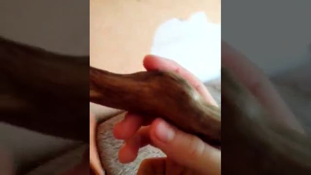 Как мыть корея ги для аквариума смотреть онлайн