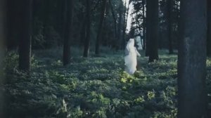 Вальс из кинофильма Мой ласковый и нежный зверь