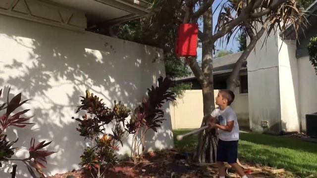 США ?? мексиканская пиньята ? традиции детского дня рождения !Что такое пиньята смотреть онлайн