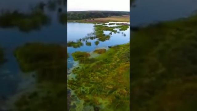 Полный клип смотрите на канале смотреть онлайн