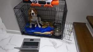 СИРЕНОГОЛОВЫЙ ПРОБРАЛСЯ В ДОМ К ШЕРЛОКУ. ШЕРЛОК ПРЯЧЕТСЯ.