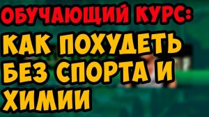 обучающий курс - как похудеть без спорта и химии