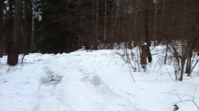 питбайк Kayo 125 на шурупах клоп 2 смотреть онлайн