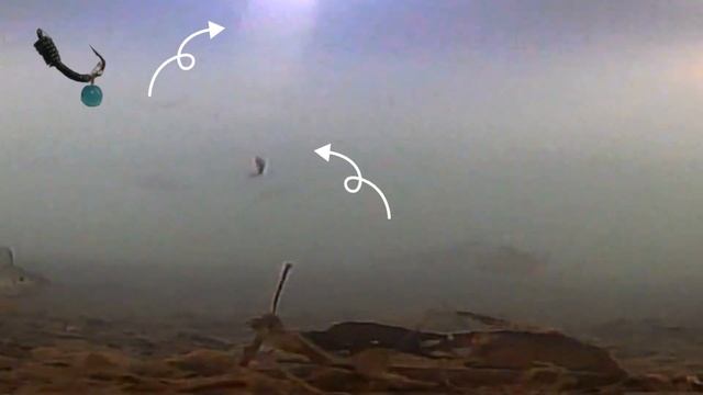 Уловистая Безмотылка 