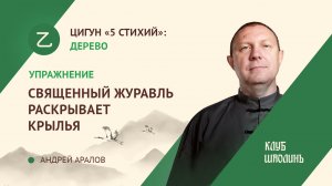 Комплекс цигун 5ти стихий. Упражнение 3. Священный журавль раскрывает крылья.  А.В.Аралов.