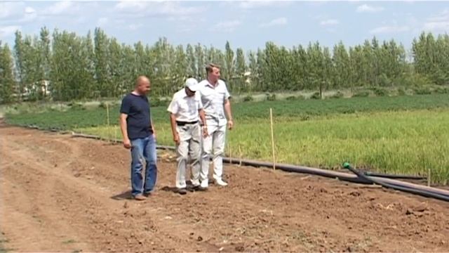 Мастер класс по мелиорации