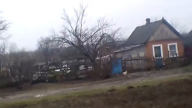 В мире животных сеса смотреть онлайн