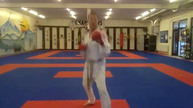 Упр. кизами-гьяку-маваши с уходами.mp4 смотреть онлайн