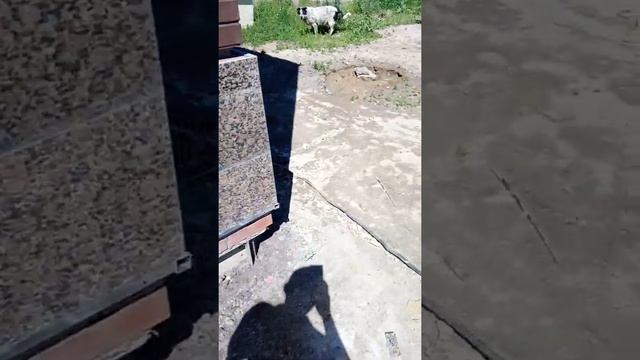 Фасадные работы в Санкт-Петербурге и области. Облицовка цоколя гранитом! смотреть онлайн