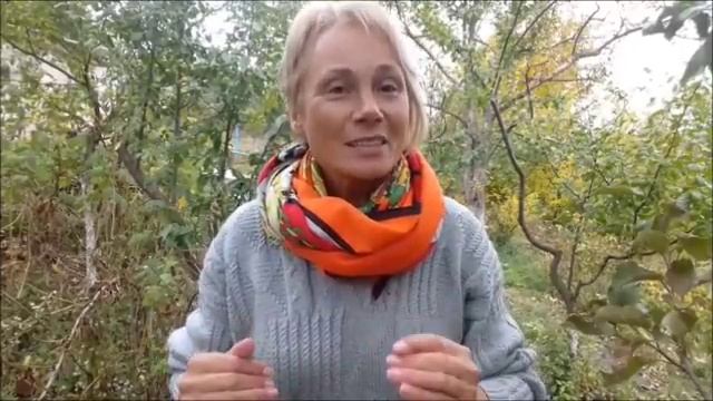 Роль алгоритмов на YouTube. Для чего нужны алгоритмы? смотреть онлайн