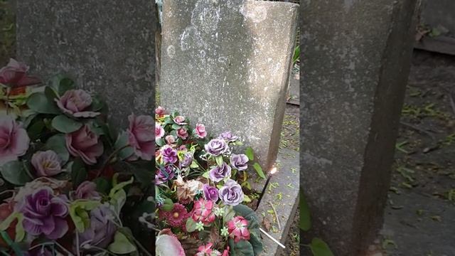 Ритуал на кладбище на усиление (для архива) #галинагахова#ведьма#кладбище#колдовство#гадание#ритуал смотреть онлайн