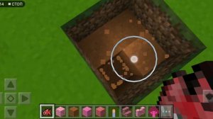 как приучить кота и собаку в каваи мир.