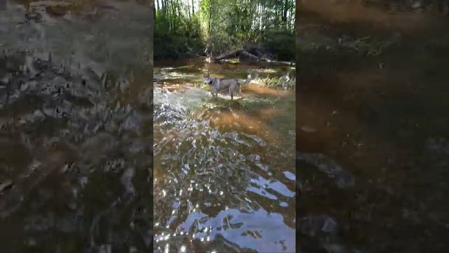 рыбалка река Обор смотреть онлайн