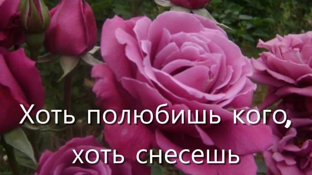 Афанасий Фет — Если радует утро тебя: Стихотворение смотреть онлайн