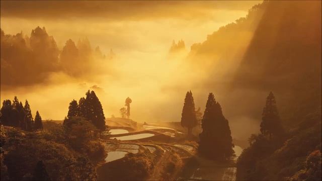 War - Toshihiko Sahashi 佐橋 俊彦 смотреть онлайн