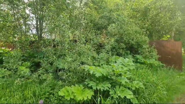 Видео зу :908 Чашниково смотреть онлайн