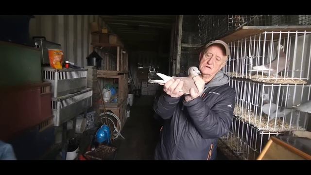 Heitzman Sions,No Sweat Lofts-January 3, 2024 смотреть онлайн