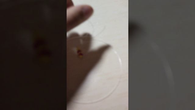 Как сплести колечко из бисера в технике крестиком?? смотреть онлайн