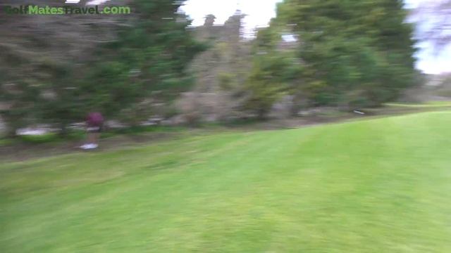 The world's best 15 handicap golfer смотреть онлайн