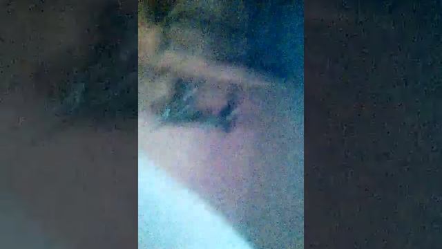 Поездка в Дукоре. Перевёрнутый дом смотреть онлайн