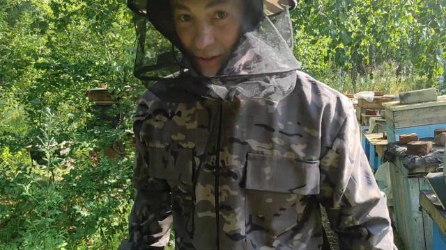 Пчеловодство.Рабочие будни пчеловода. Расширяю июльские отводки! #Пчеловодство #пчёлы #отводки смотреть онлайн