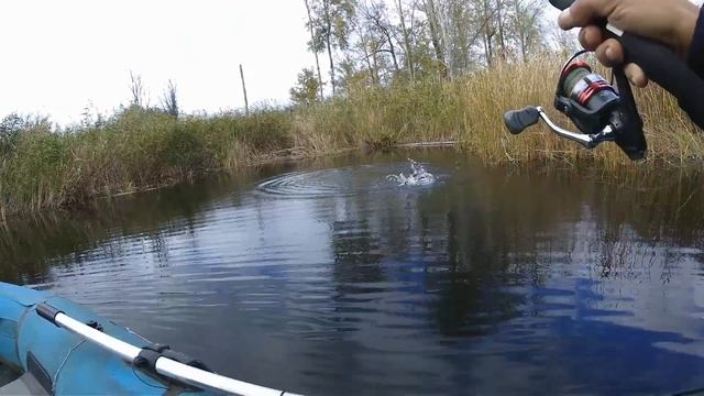 Щука на Воблеры осенью! Рыбалка на Спиннинг. Ловля Щуки. смотреть онлайн