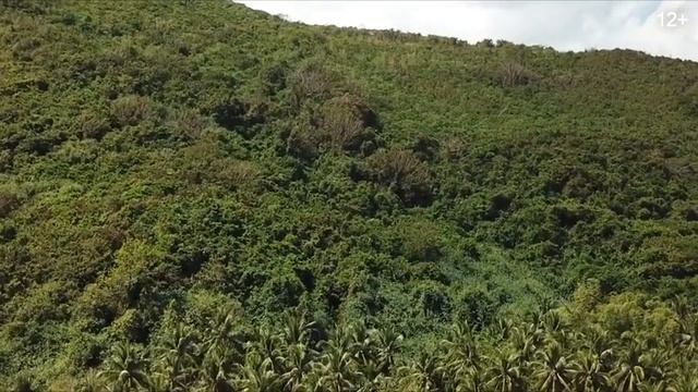Остров Палаван - Филиппины - Интересные факты - Paradise Palawan Philippines - Drone смотреть онлайн