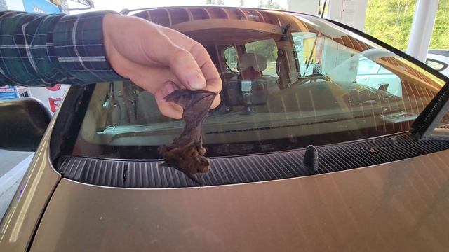 Летучая Мышь на машине