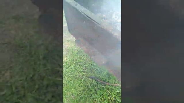 Я у друга жарю хлеб на даче смотреть онлайн