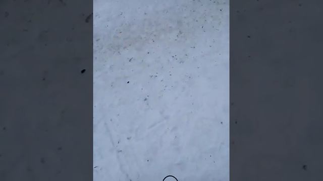 Будем вместе ( часть 1 ) смотреть онлайн