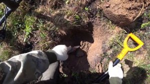 копаем с интроник