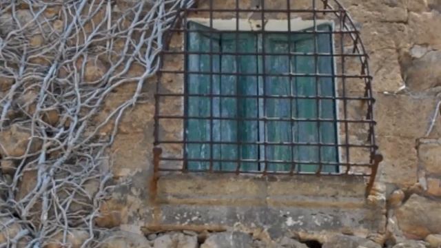 Петр Налич Чайки Nalitch: Seagulls. Balearic Islands. Estellencs. Valldemossa.Palma