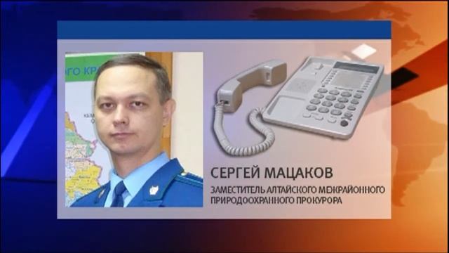 Сергей Мацаков заместитель алтайского межрайонного природоохранного прокурора смотреть онлайн