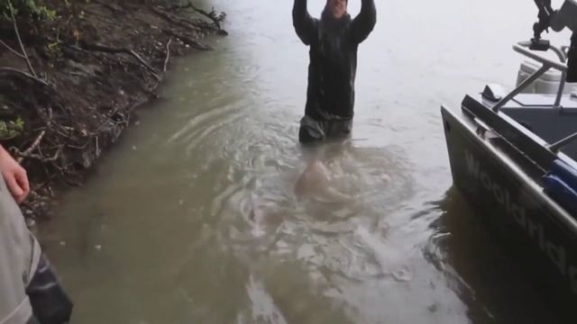 Осетр-благородная рыба Каспия#гранатовыйкафтан#дагестан#turkishwords#kazakhstan#астрахань